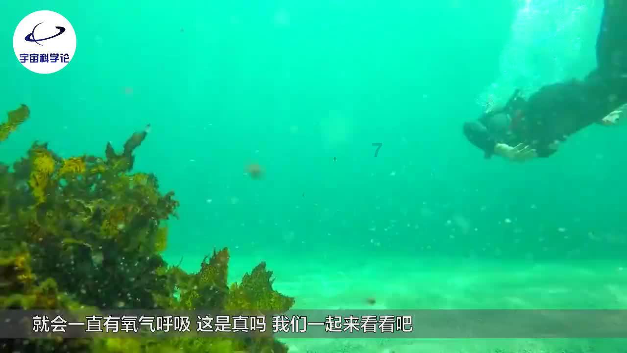 为什么有些人思考问题不全面 ？游戏画面